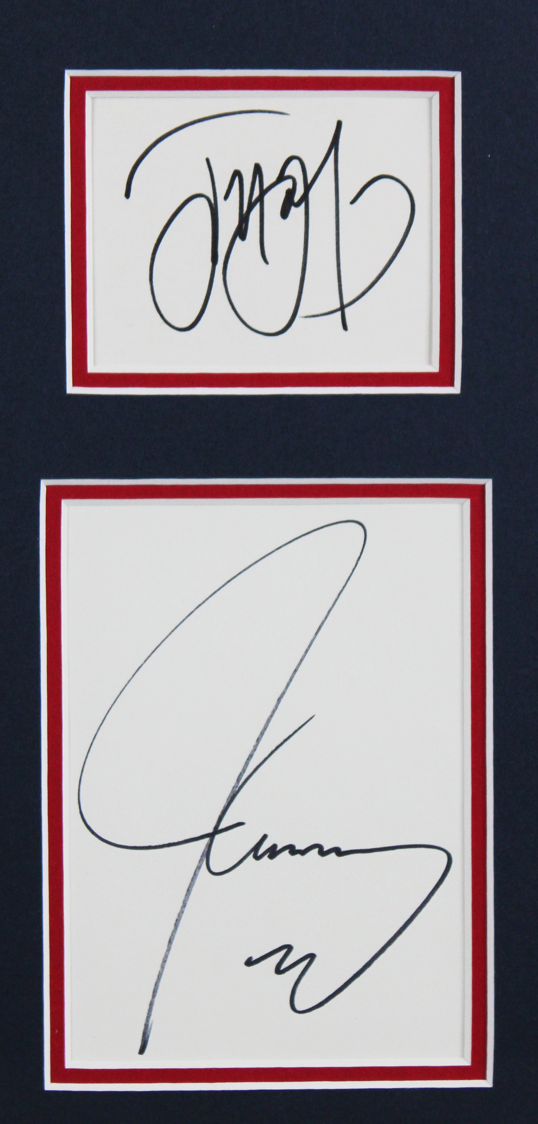 Jim Carrey & Jeff Daniels Dumb and Dumber Signed Framed Display BAS #AE13551