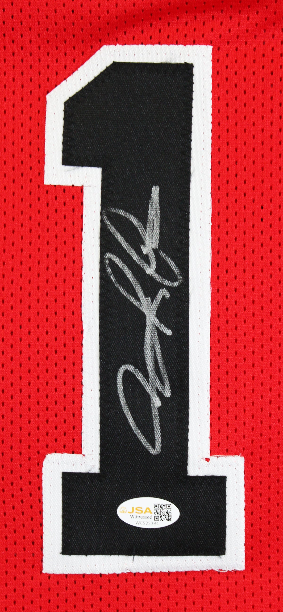Dennis Rodman Authentic Signed Red Pro Style Framed Jersey JSA Witness