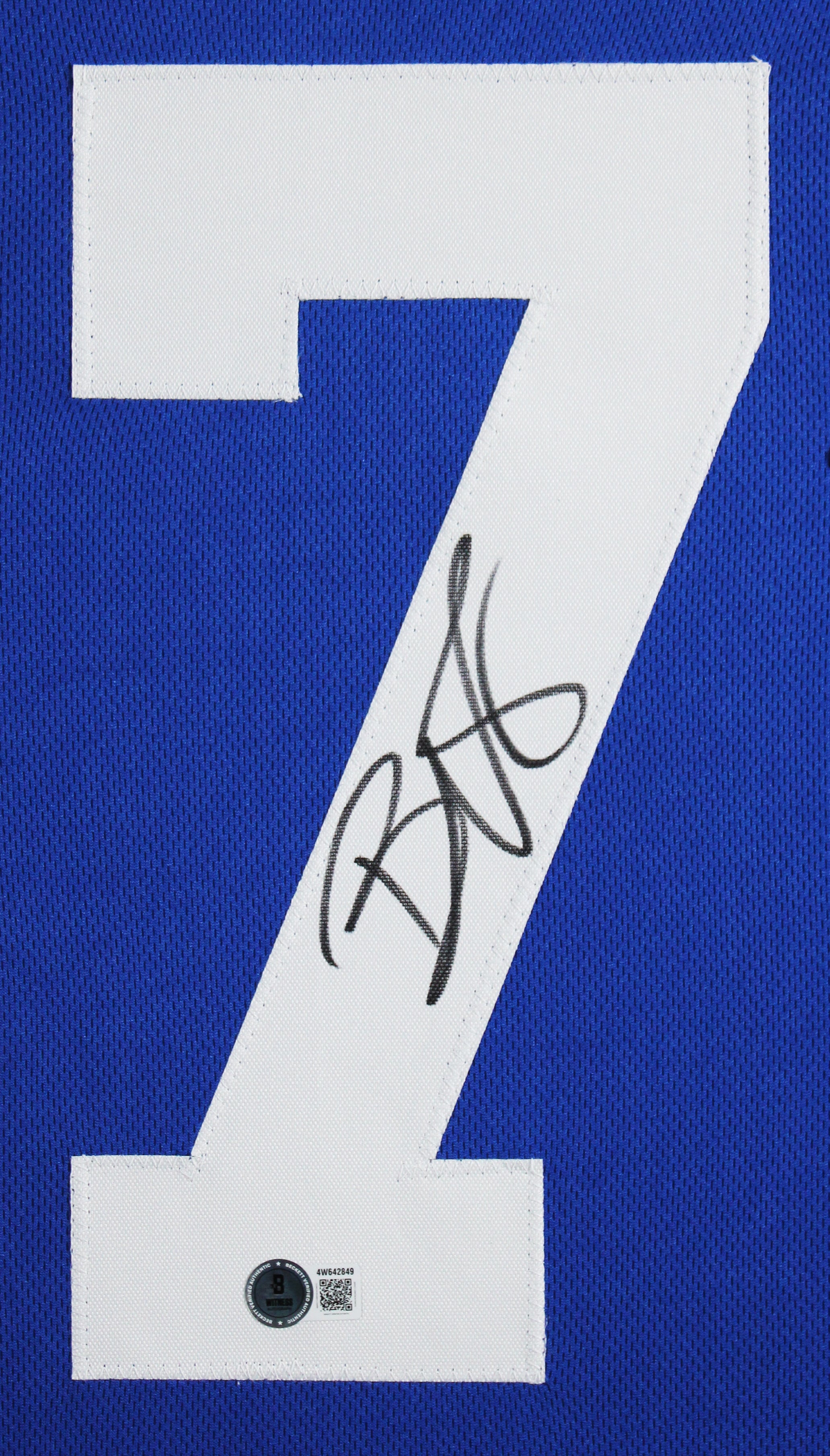 Reggie Wayne Authentic Signed Blue Pro Style Framed Jersey BAS Witnessed