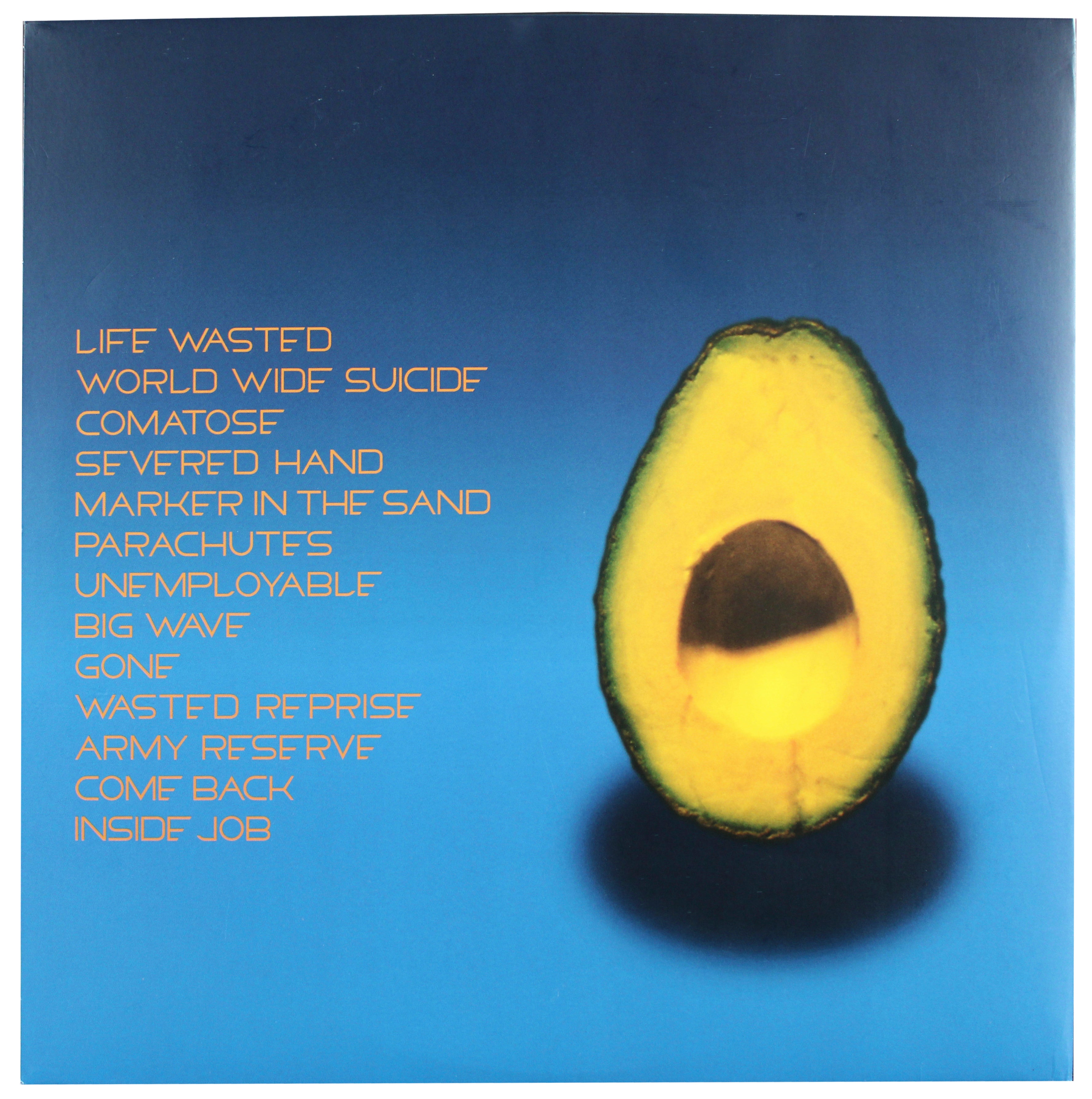 Pearl Jam (5) Vedder, Ament, McCready +2 Signed Signed Avocado Album Cover JSA