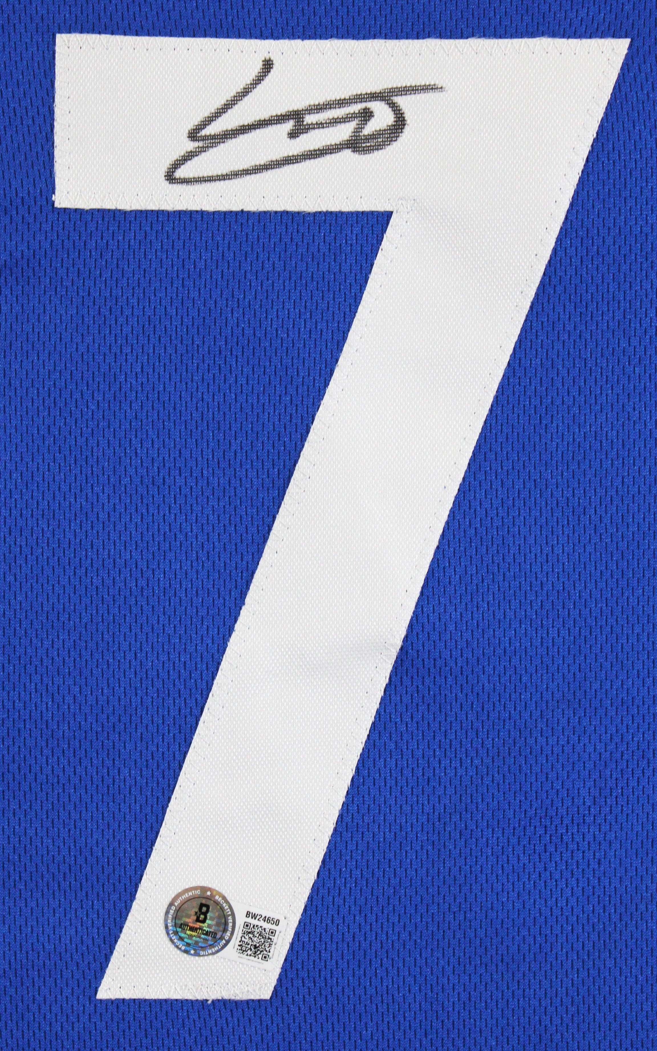 Vladimir Guerrero Jr. Authentic Signed Blue Pro Style Jersey Autographed BAS 2