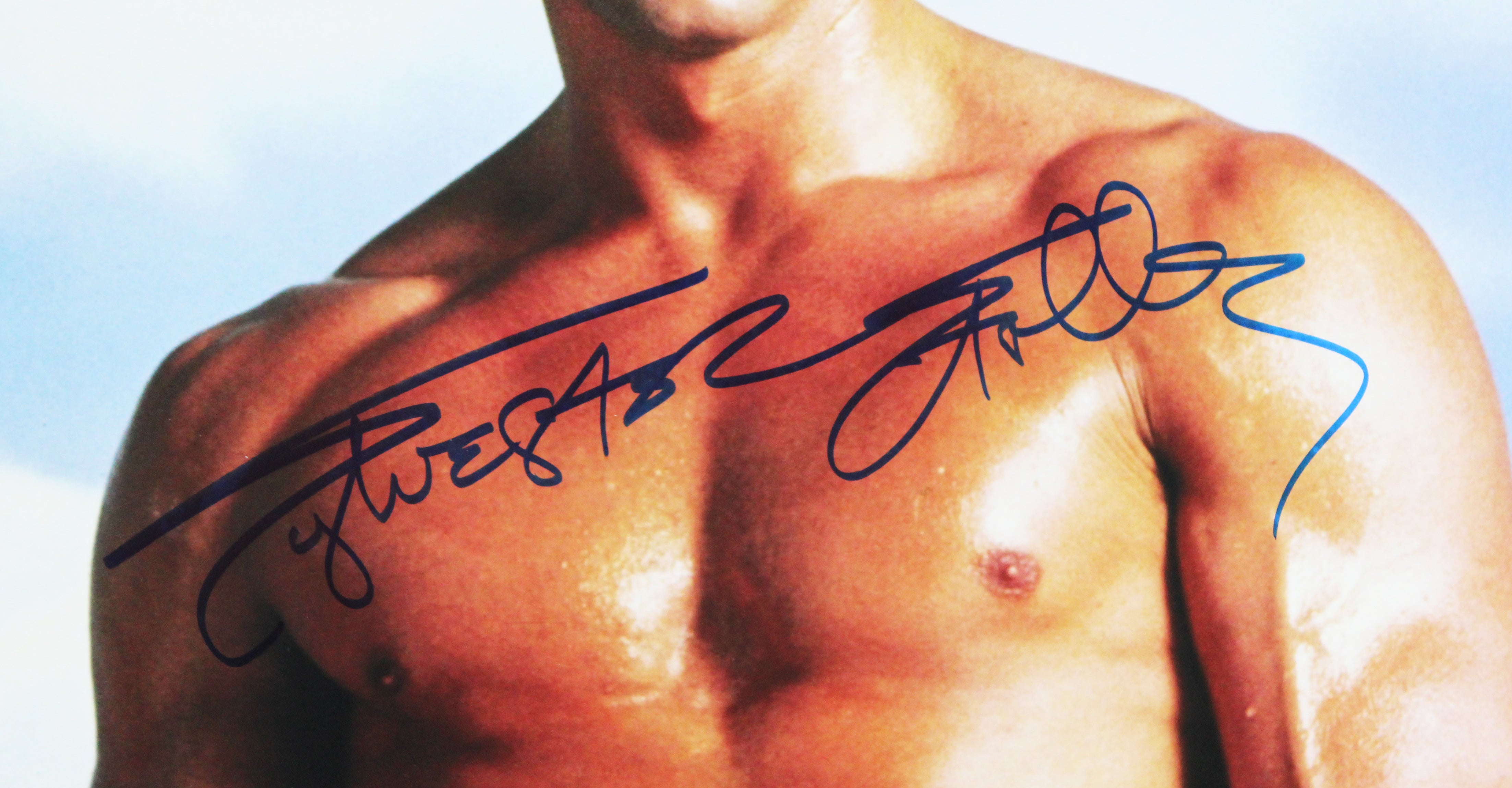 Sylvester Stallone Rocky Authentic Signed 16x20 Vertical Sky Photo BAS LOA 2