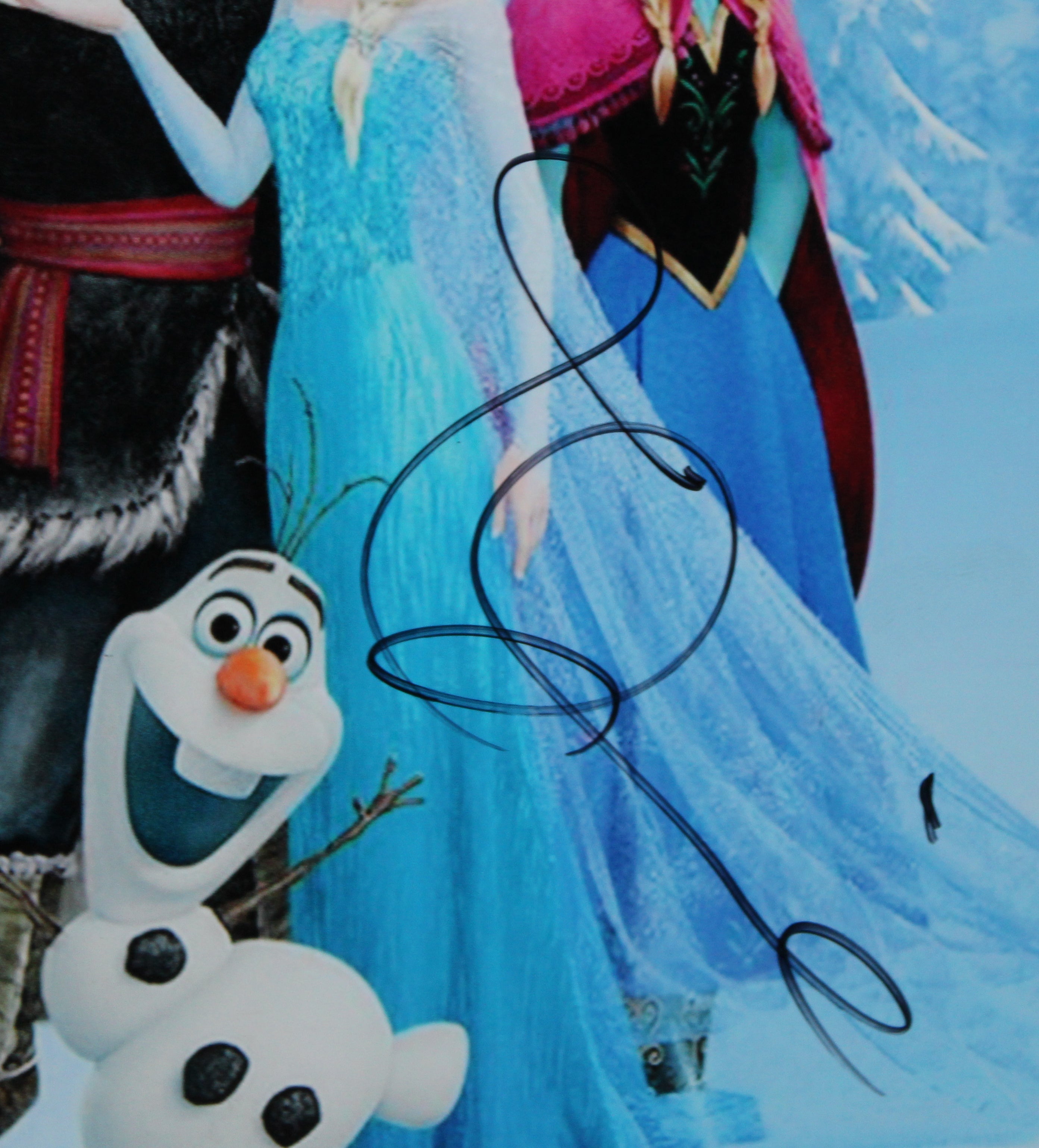 Idina Menzel Frozen Authentic Signed 8x10 Framed Photo Autographed BAS #BN89306