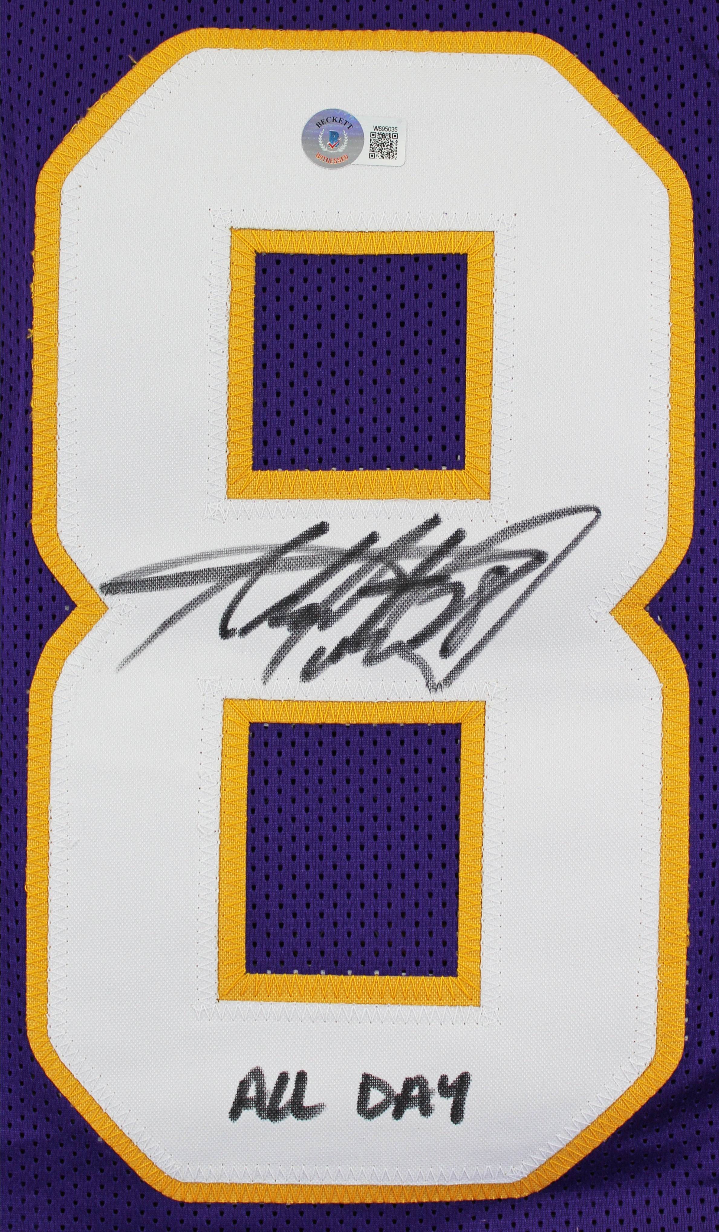 Adrian Peterson "All Day" Signed Purple Pro Style Framed Jersey BAS Witnessed