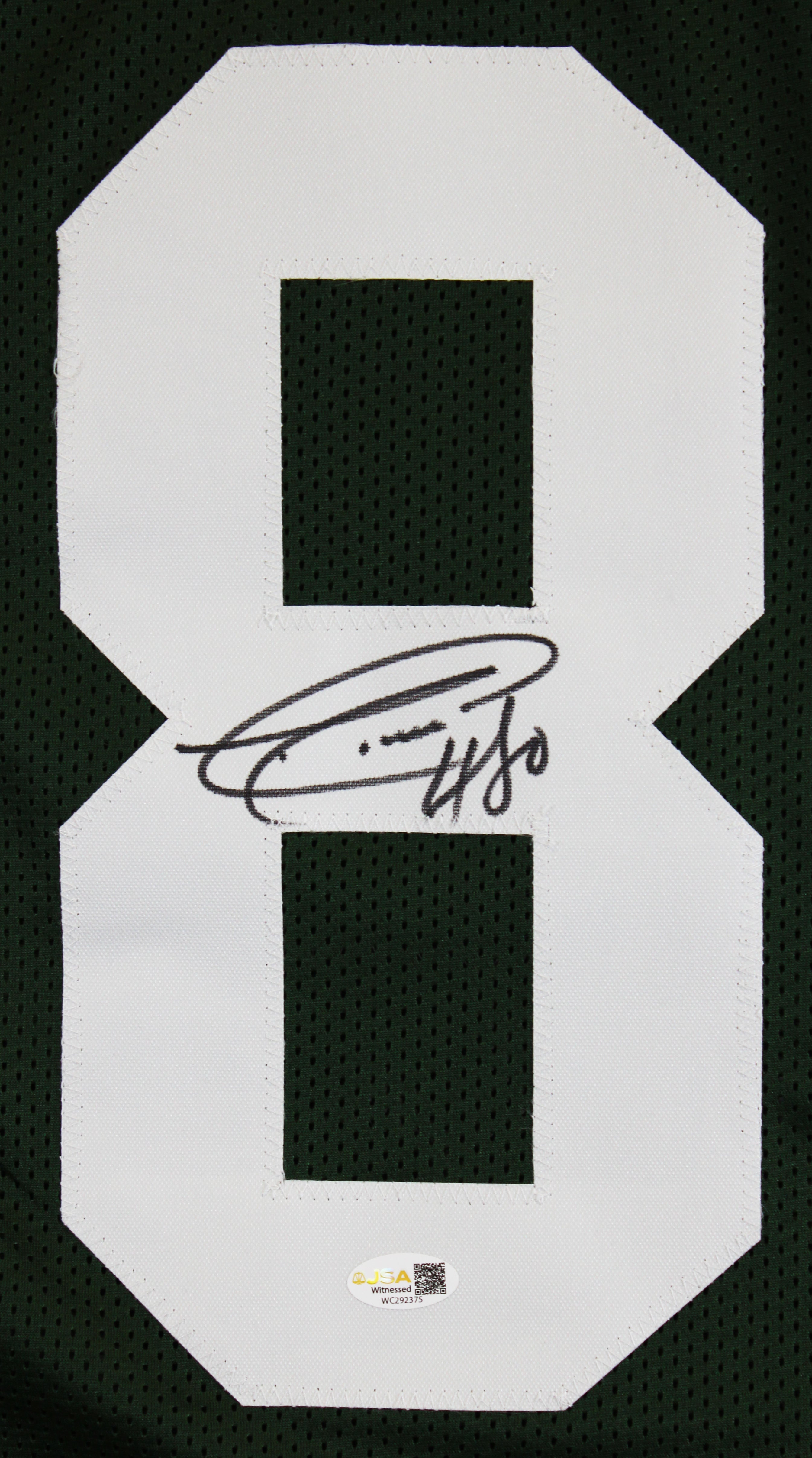 Donald Driver Authentic Signed Green Pro Style Framed Jersey JSA Witness